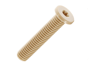 PEEK® socket low head torx screw [187]