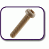 PEEK® pan head screw [180] (180061670409)