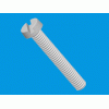 Slotted cheese head screw [536] (536012059902)