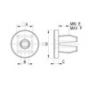 Steel plate nut [162] (162801600002)